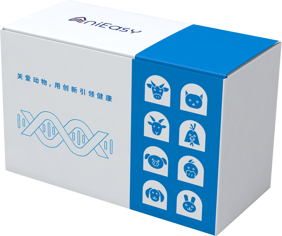 Detection Kit